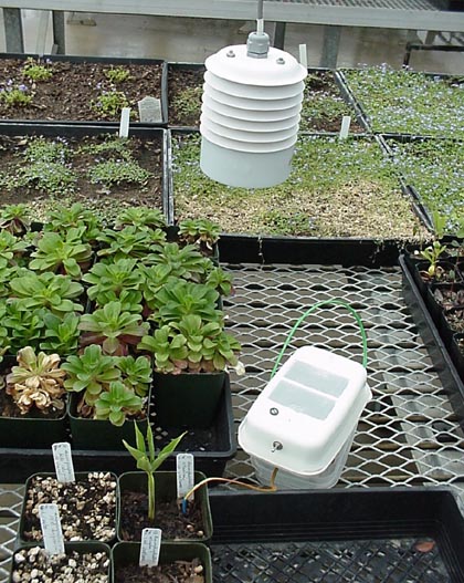 monitoring the "stinky plant" 